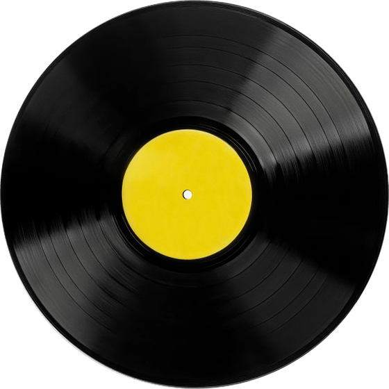 A vinyl record